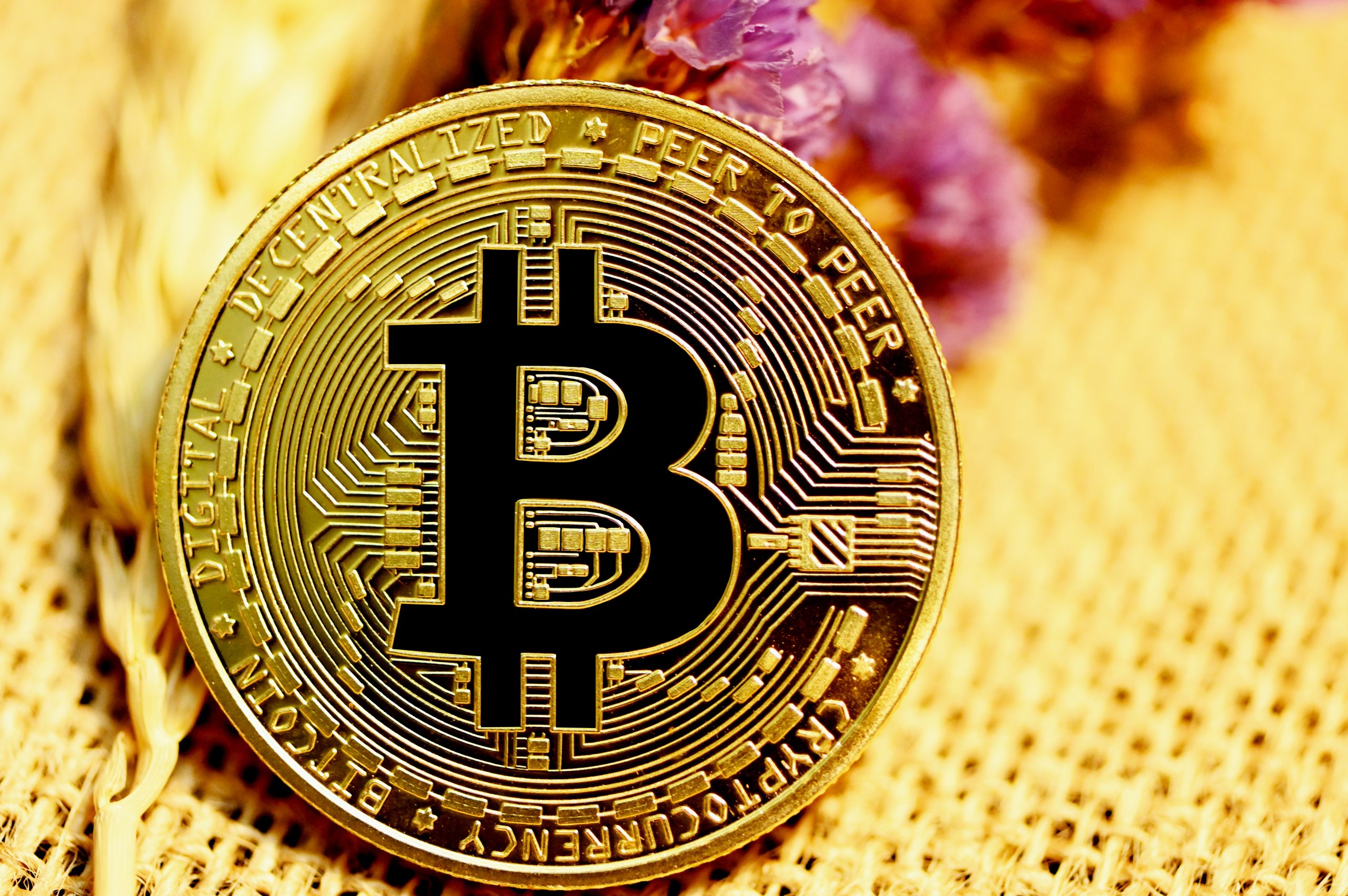 Amidst crypto market crash, let’s bust 7 biggest Bitcoin myths